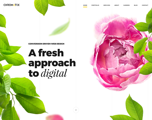 Chromatix Web Design