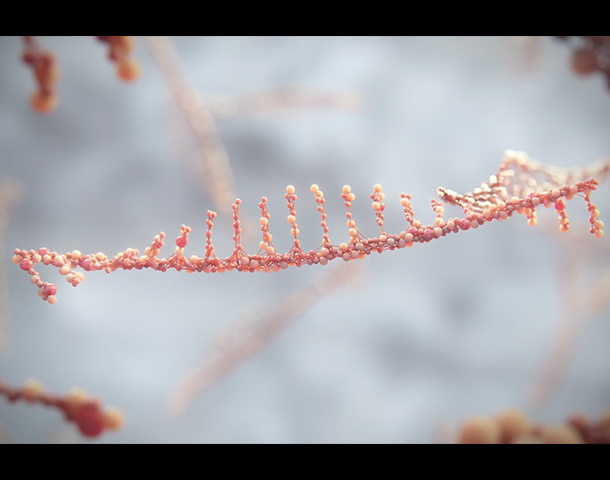 MoA Animation – Hepatitis B by Random42 Scientific Communication