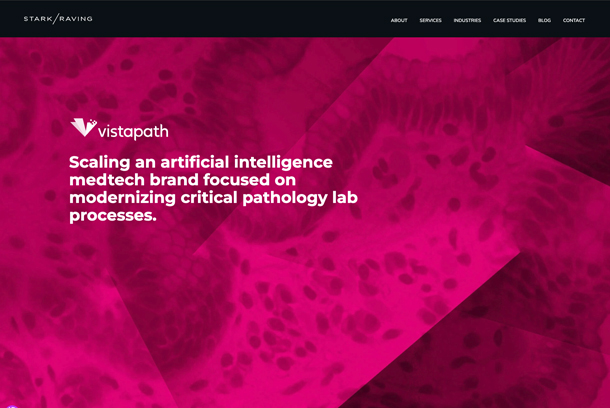 Vistapath by Stark / Raving Branding + Marketing