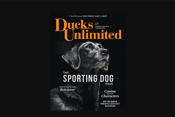 Ducks Unlimited May/June 2023 Cover by K. L. Behnke Photography