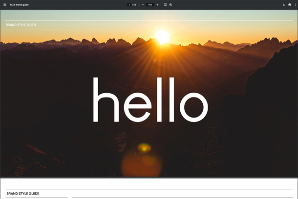 Rize Beyond Banking by LO:LA