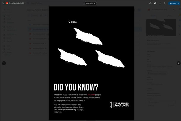 Use Narcan. Carry Test Strips. Never Use Alone. by Test Strips Save Lives Foundation