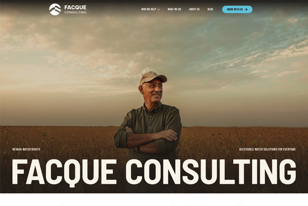 Facque Consulting Website by Miley Studios