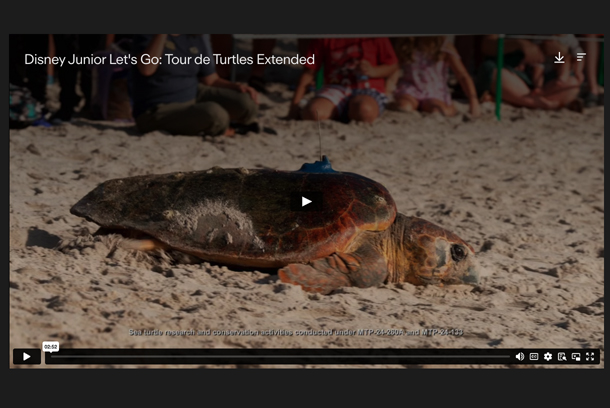 Disney Junior Let's Go: Tour de Turtles extended by 7ate9 Entertainment