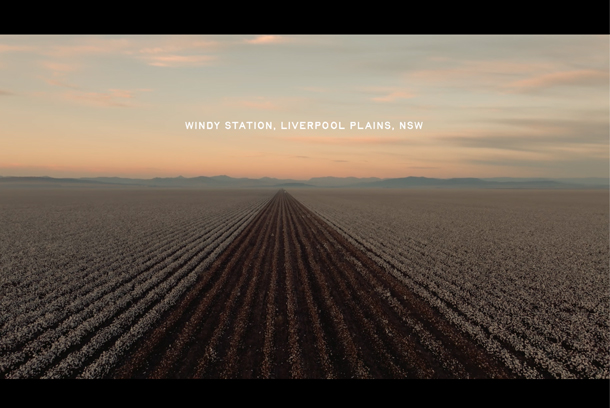 RB Sellars - Out Here, Windy Station by Picture Co