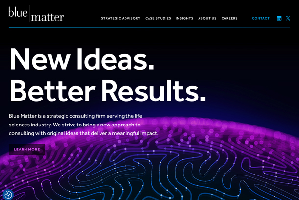 Blue Matter Website by Hinge