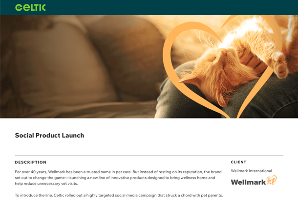 Wellmark Product Launch by Celtic Chicago
