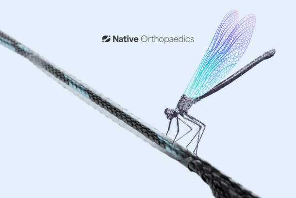 Native Brand and Web by Giant Shoulders LLC