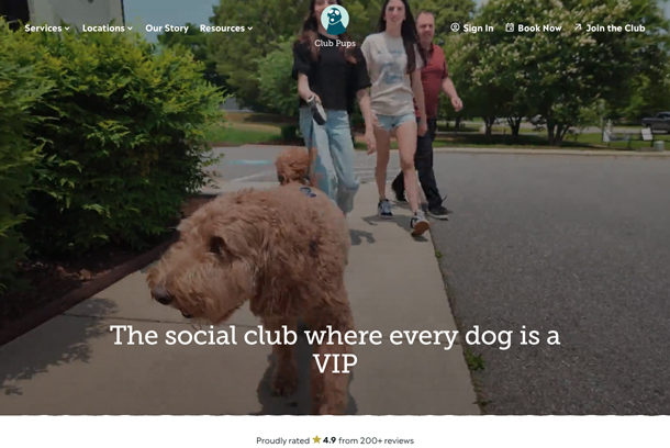 Club Pups Website by Epic Notion