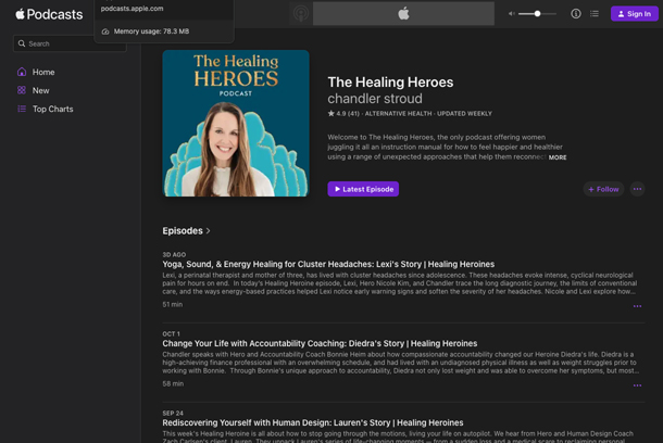 The Healing Heroes by The Healing Heroes, LLC