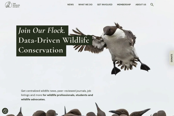 The Wildlife Society by Chariot