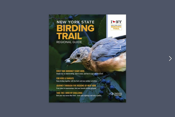 New York State Birding Trail Regional Guide by Travel Alliance Partnership