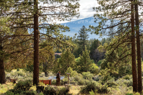 Shared Ground: An Inclusive Interpretive System for the Deschutes Land Trust by Olivia Edwards