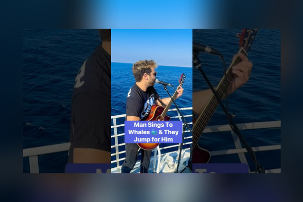 When the Ocean Answered: Turning Real-Life Whale Encounters Into Viral Storytelling by Keen Social LLC