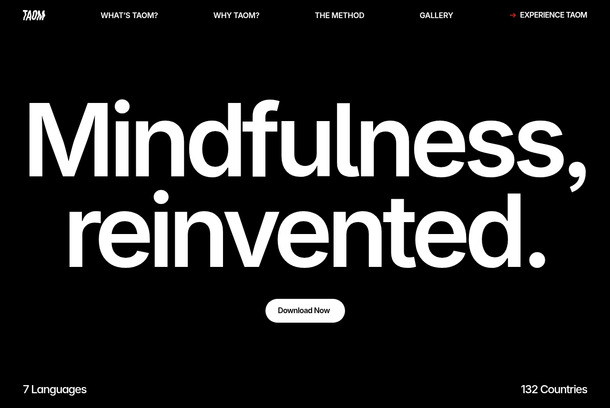 Taom: The Art of Meditation