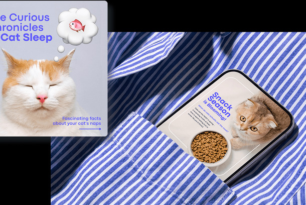 Basepaws: Making Pet Genetics Fun Through Design by Delicate Matter LLC