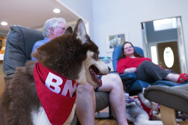 A Day in the Life of a BNI Franchisee - Shirley Towne by Thunderly Marketing
