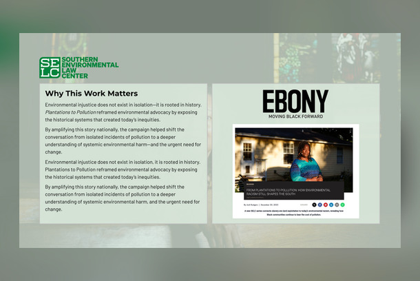 Plantations to Pollution - Elevating Environmental Justice by BrandSavor